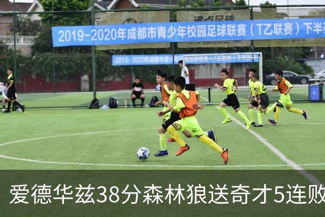 爱德华兹38分森林狼送奇才5连败 活塞力克黄蜂